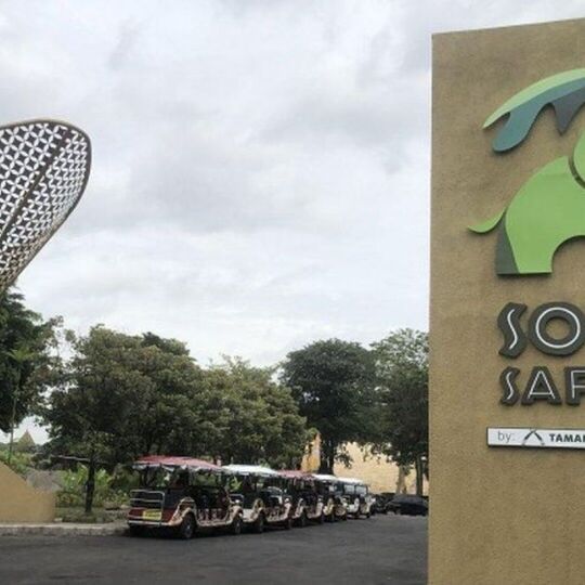 SOLO SAFARI 